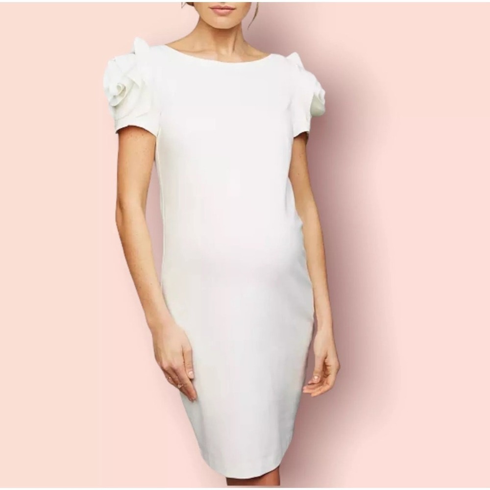 NWT Pietro‎ Brunelli Salisburgo Rose Sleeve Maternity Dress, Creamy White, Sz S